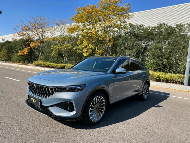鹽城22年嵐圖汽車FREE2