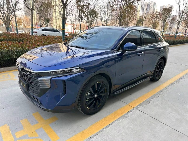 濟寧23年啟辰大V2