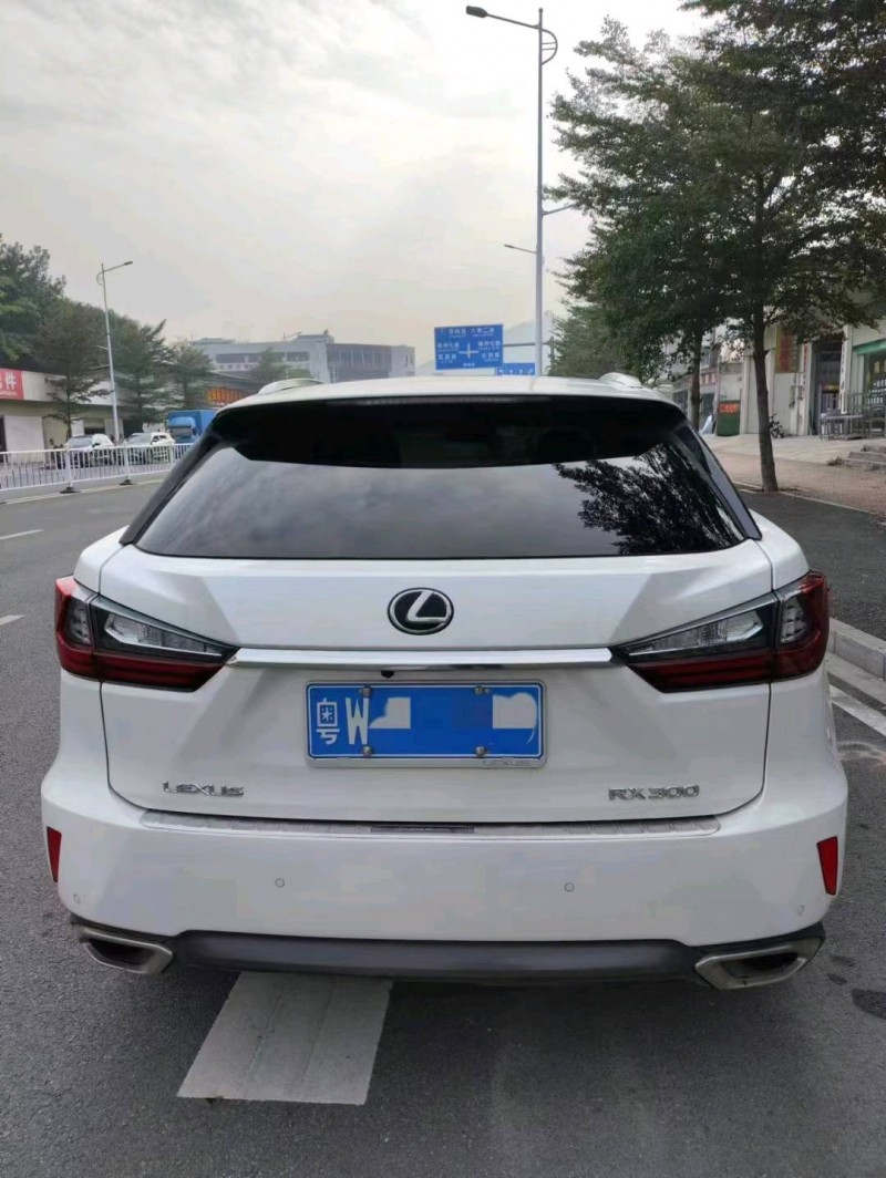 珠海19年雷克萨斯RX7