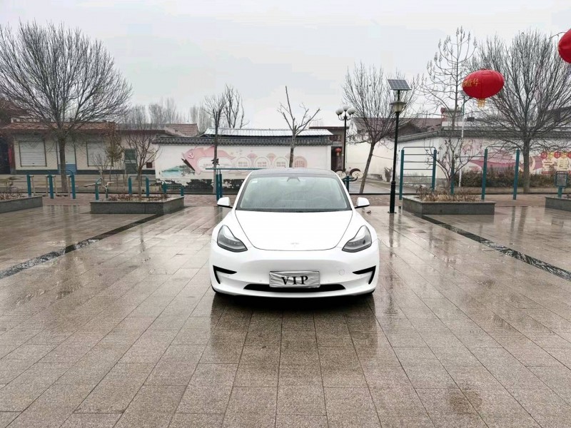 濟南21年特斯拉MODEL 31