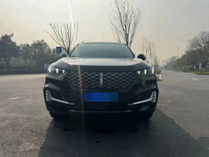 嘉興20年長城汽車WEY VV61