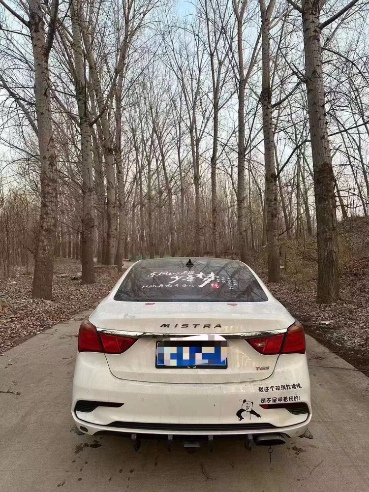 东营18年现代名图4