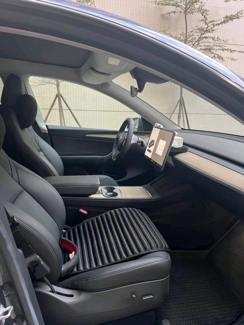 揭陽22年特斯拉MODEL Y9