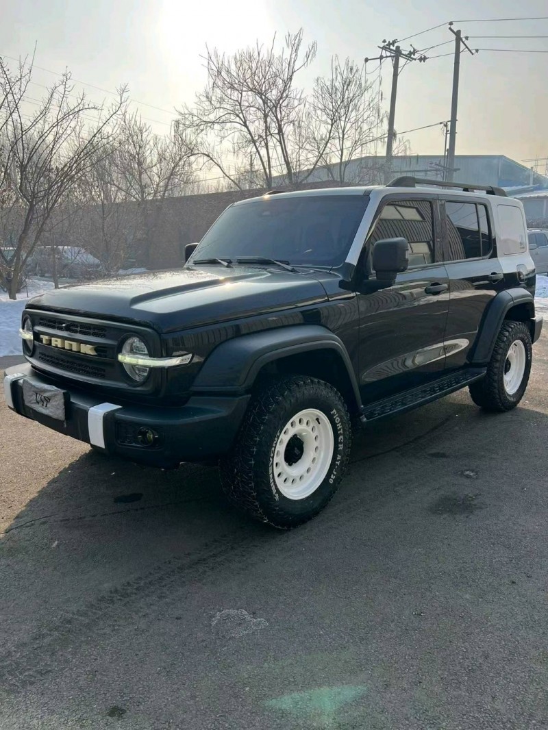 沈陽21年長城汽車坦克3002