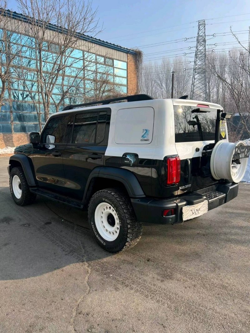 沈陽21年長城汽車坦克3004