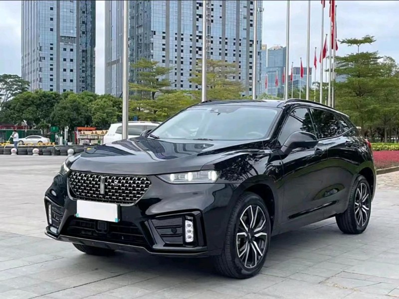重庆20年长城汽车WEY VV74