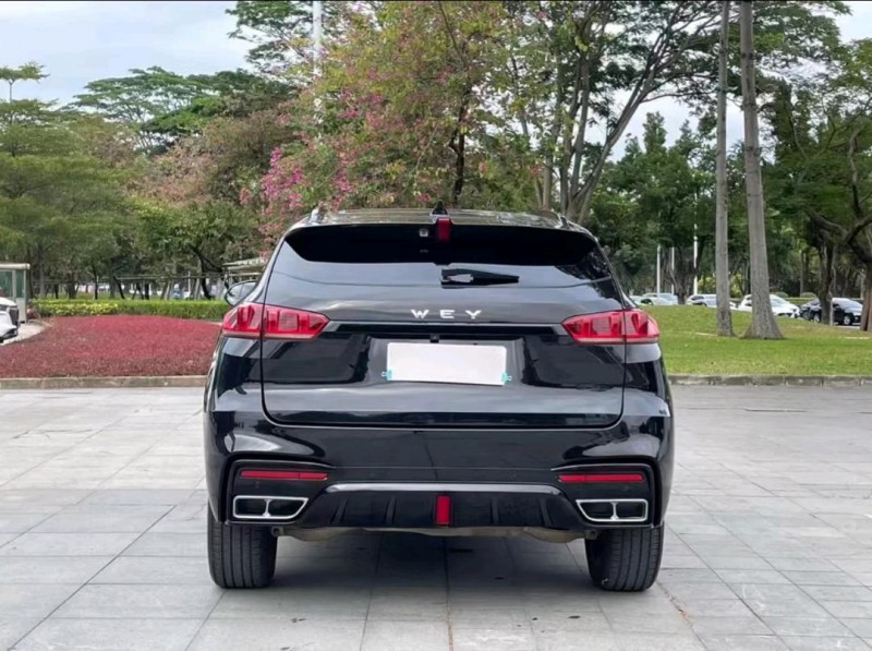 重庆20年长城汽车WEY VV76