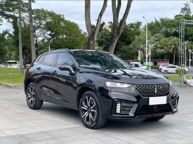 重庆20年长城汽车WEY VV79