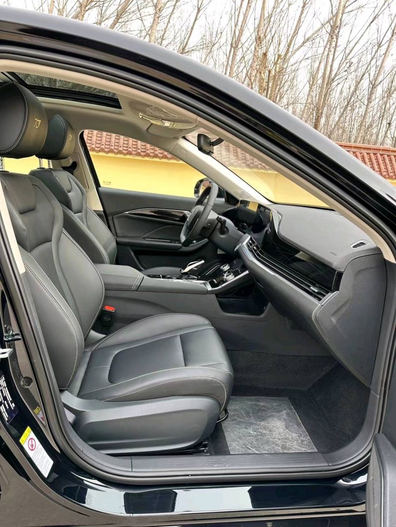 廊坊24年奔腾B705