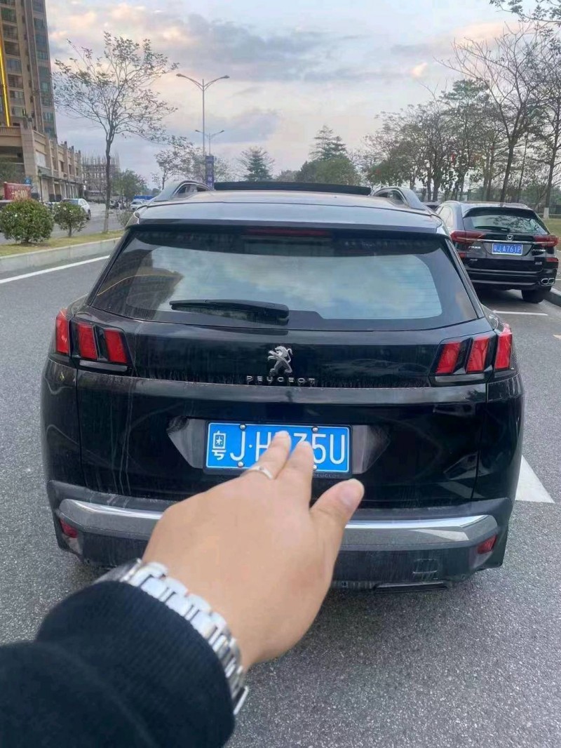 珠海21年标致40088