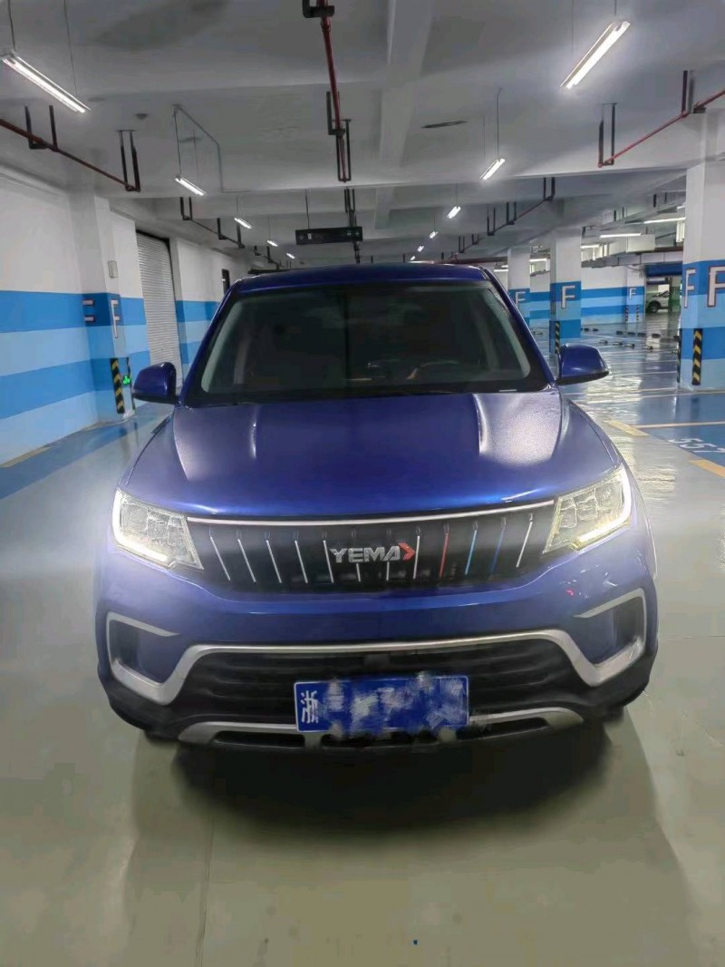 湖州21年野馬汽車博駿1