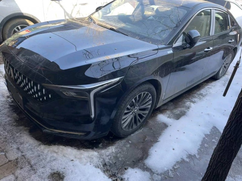 邯郸24年奔腾B709