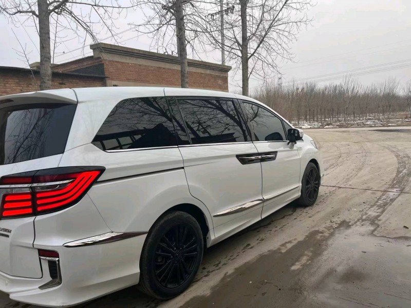 保定19年本田艾力绅7