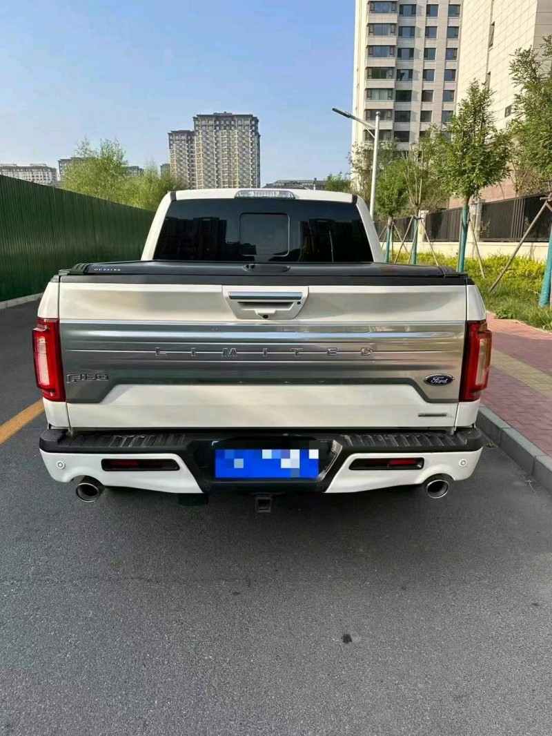 邯郸20年福特F-1503