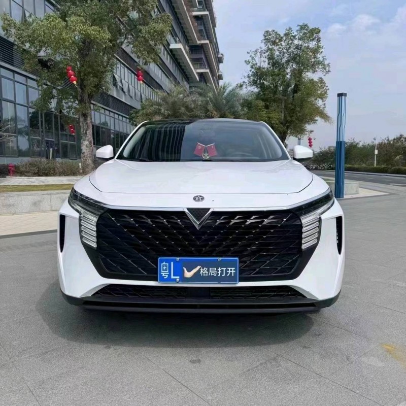 珠海21年啟辰大V1