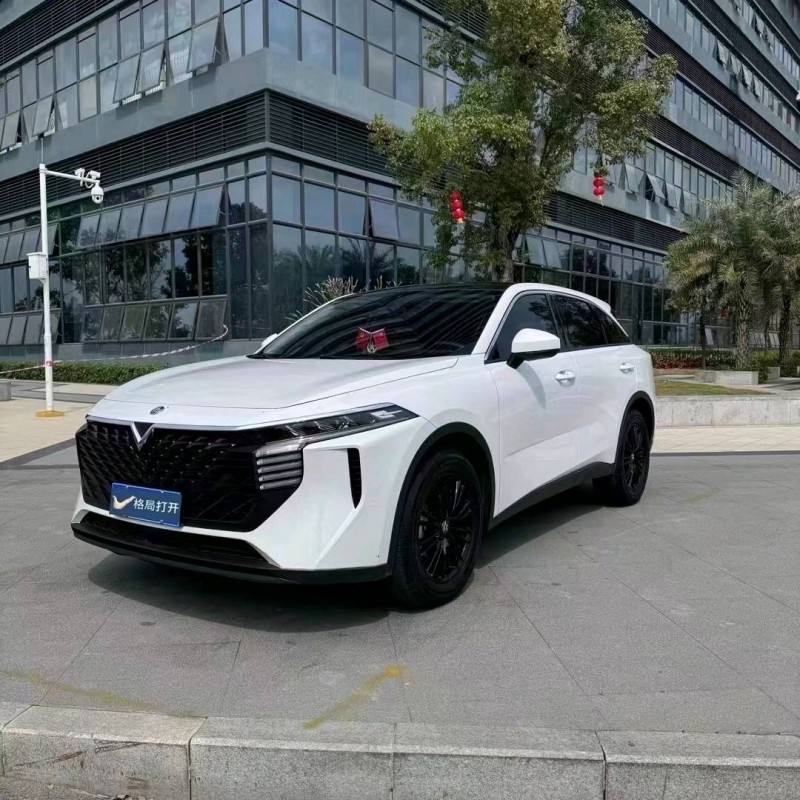 珠海21年啟辰大V6