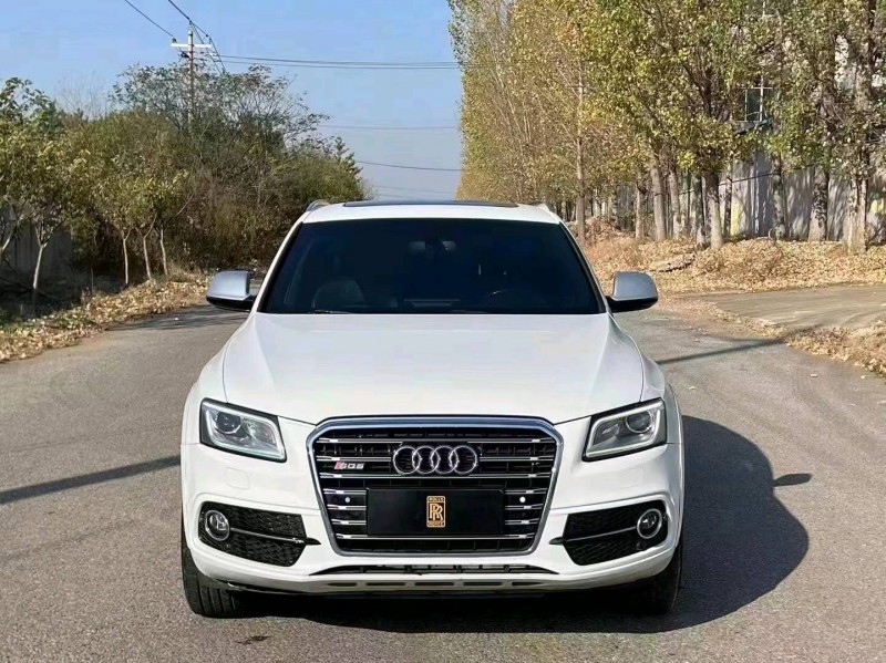 东营18年奥迪SQ51