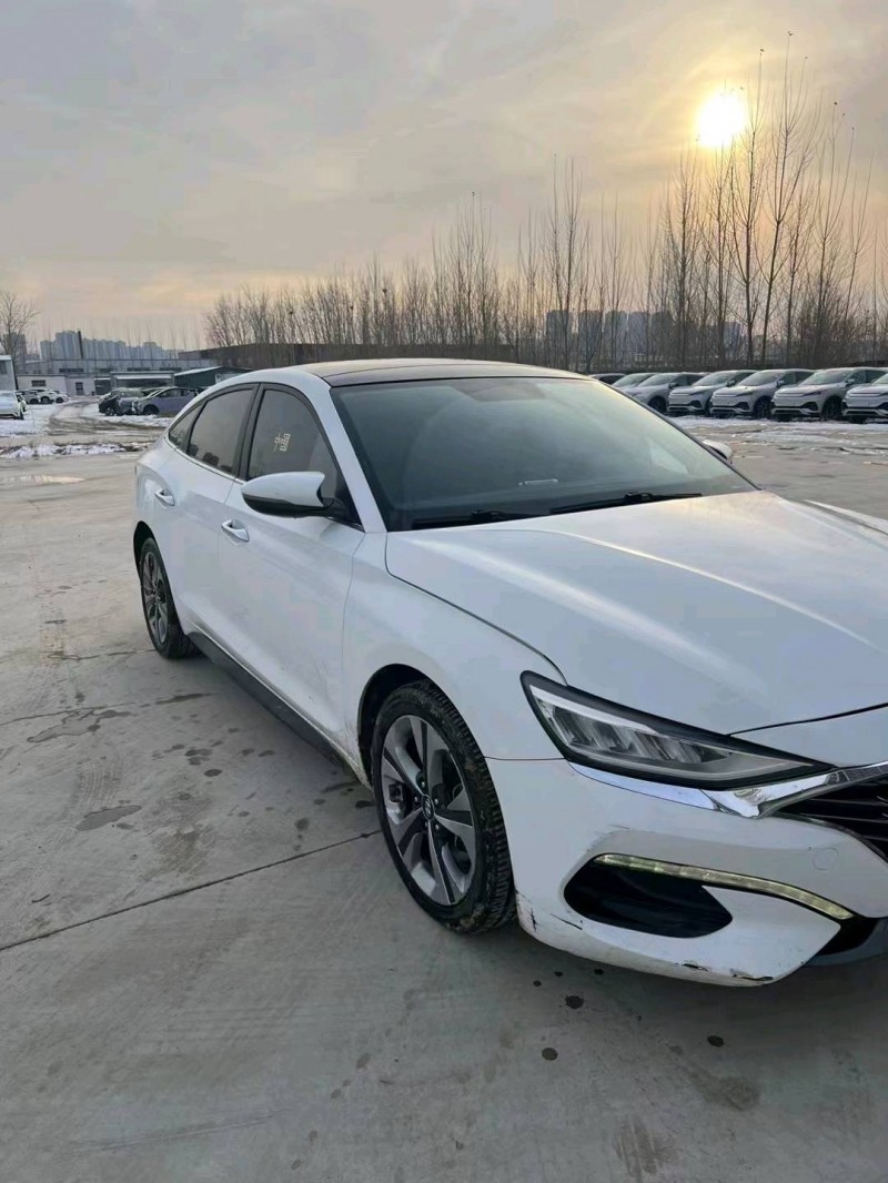东营20年现代菲斯塔3
