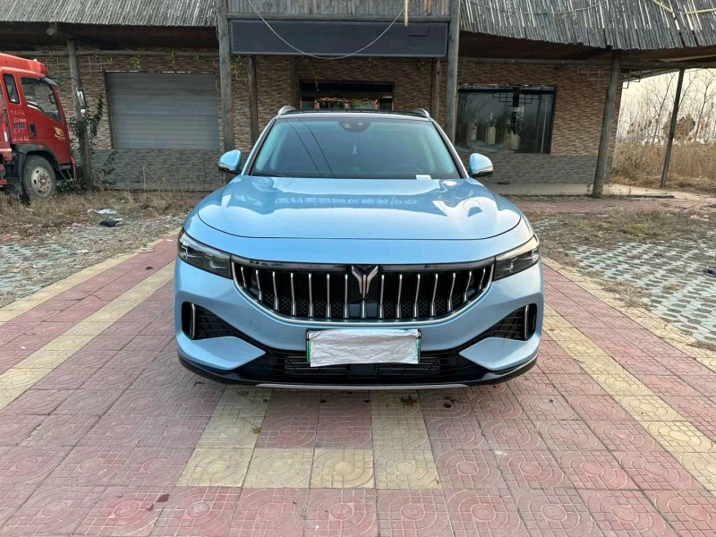 徐州22年嵐圖汽車FREE1