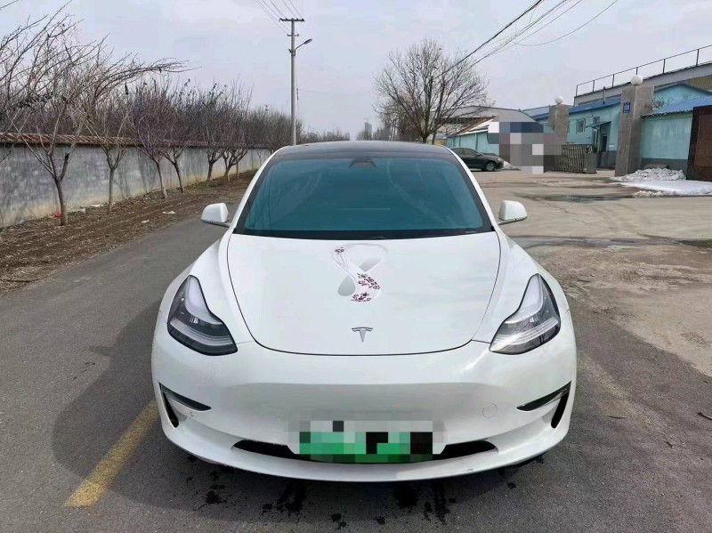 棗莊20年特斯拉MODEL 31