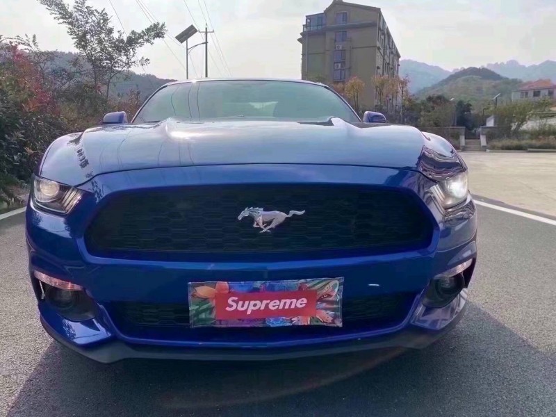 枣庄17年福特野马1