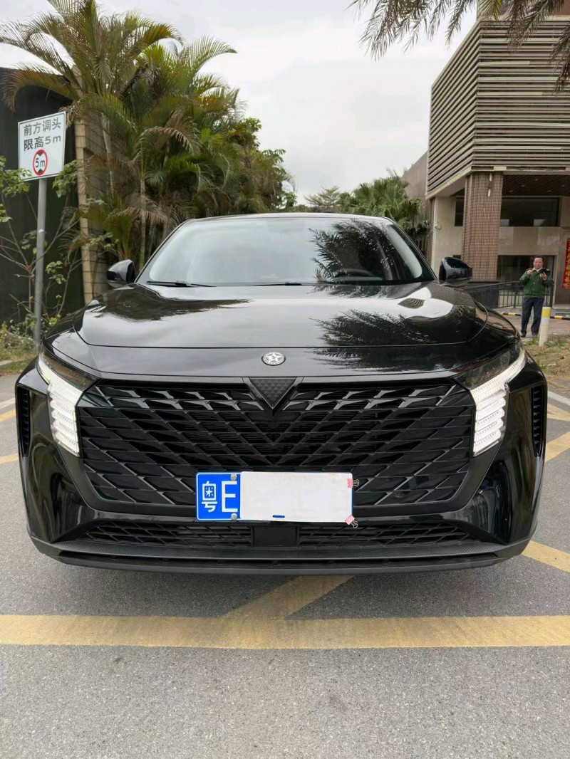 佛山22年啟辰大V1
