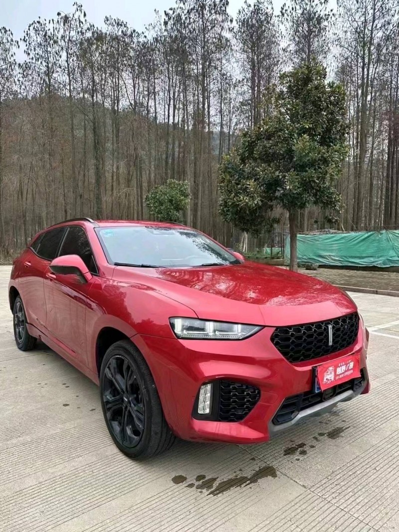 湖州18年長城汽車WEY VV72