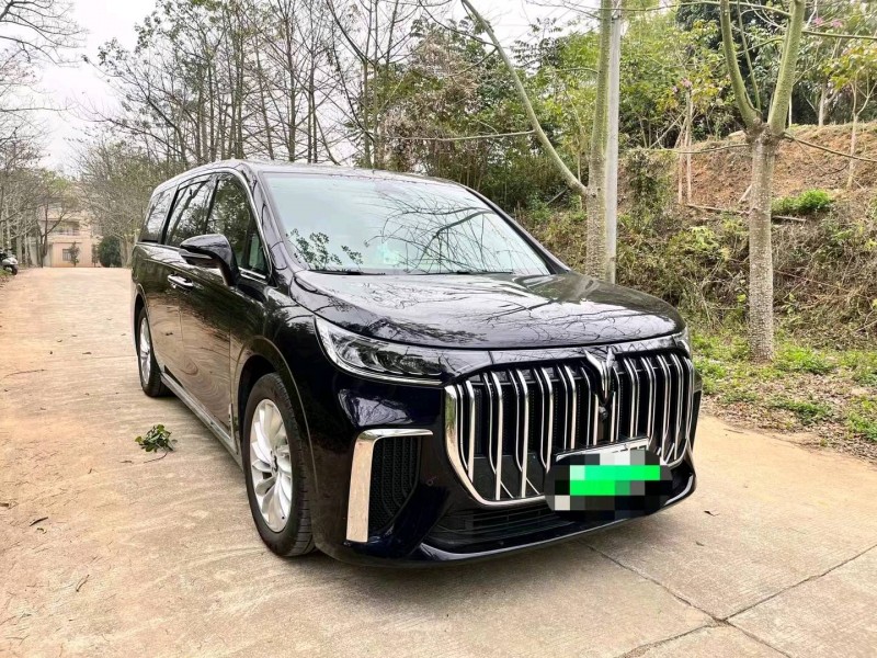 莆田23年嵐圖汽車夢想家4