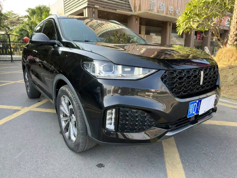 佛山19年长城汽车WEY VV63