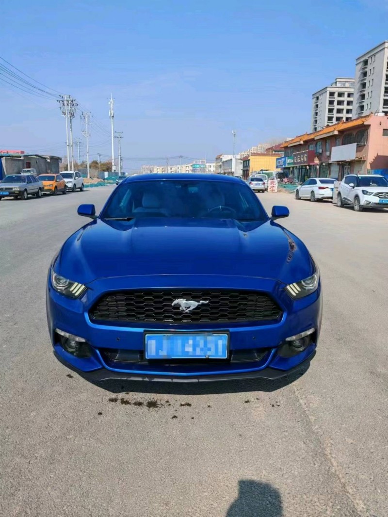 聊城17年福特野马1