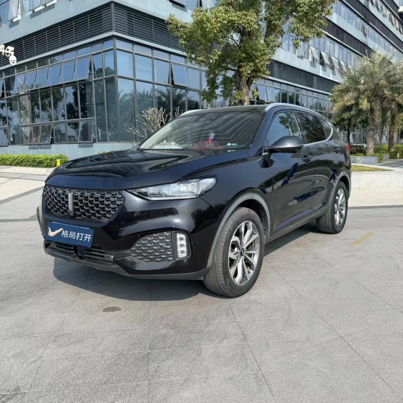 东莞20年长城汽车WEY VV63