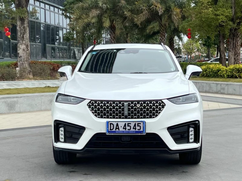 东莞20年长城汽车WEY VV71