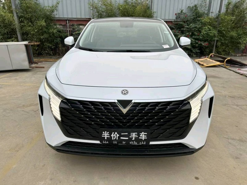 廣州23年啟辰大V1