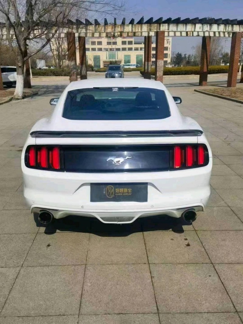 枣庄17年福特野马7