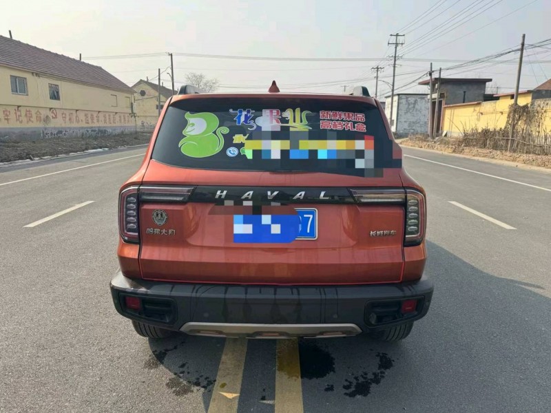 东营20年哈弗大狗4