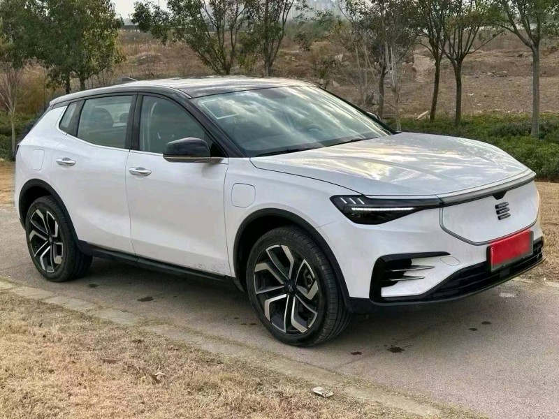 洛陽23年特斯拉MODEL 33