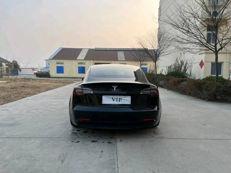 徐州20年特斯拉MODEL 39