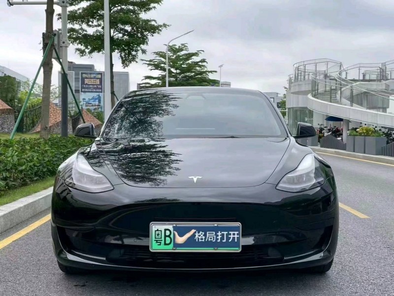 汕頭21年特斯拉MODEL 31