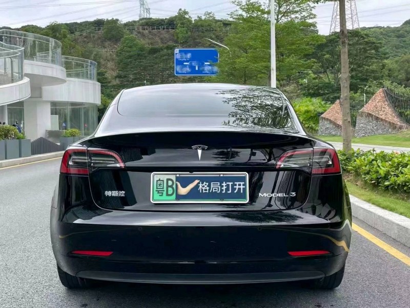 汕頭21年特斯拉MODEL 38