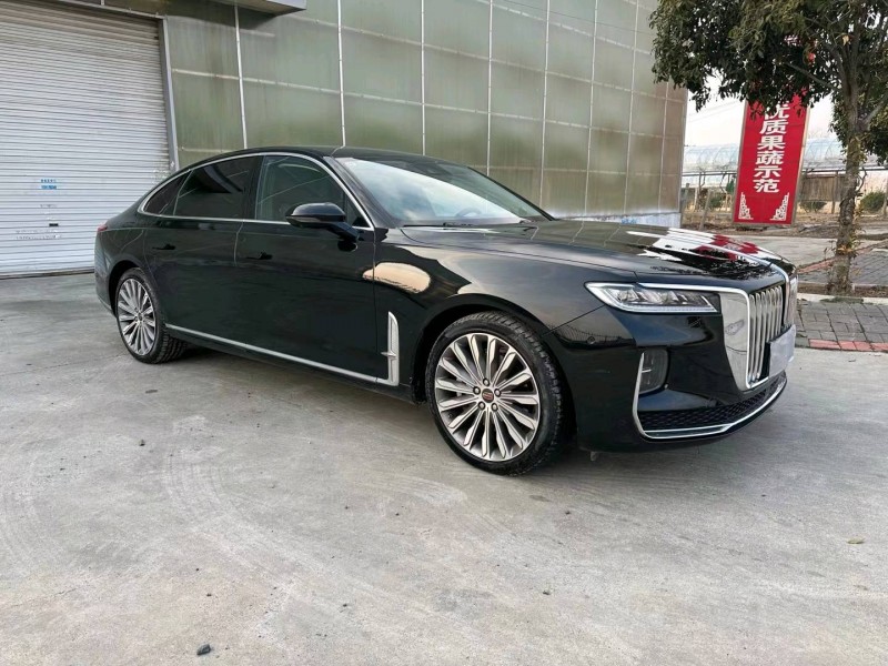 徐州20年红旗H93