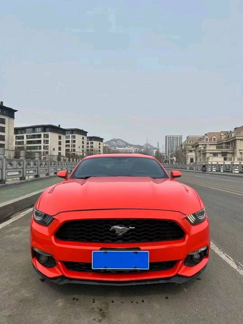 东营16年福特野马1