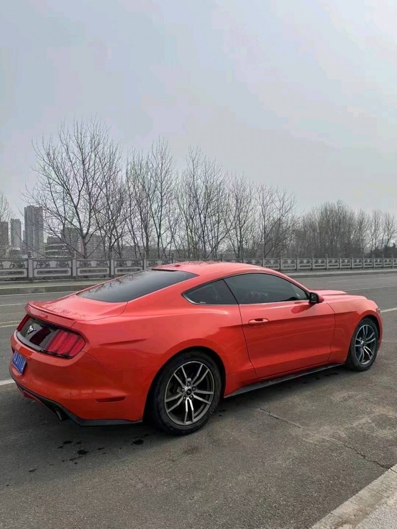 东营16年福特野马9