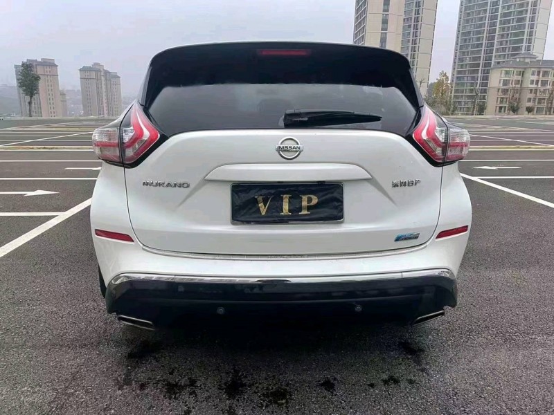 宜昌17年日產樓蘭9