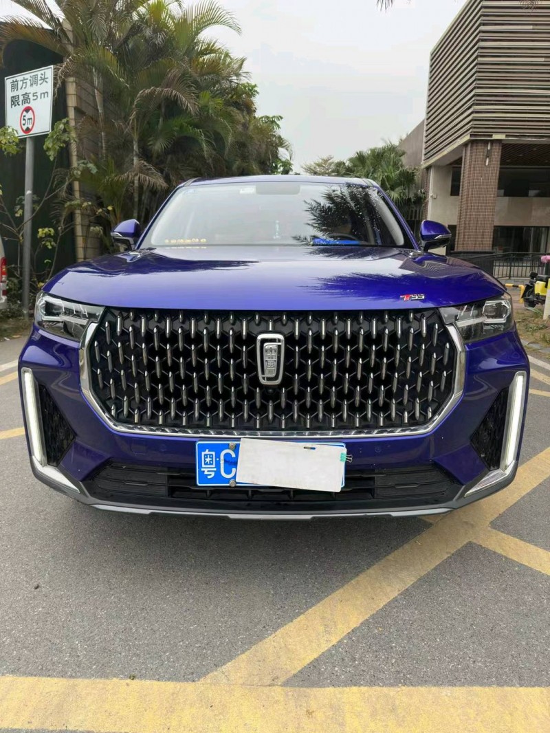 佛山20年奔腾T991