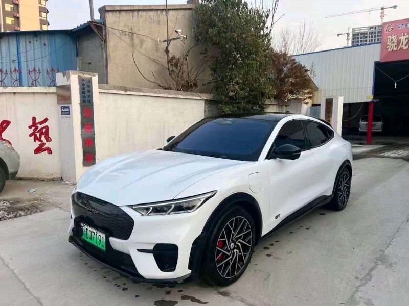 东营22年福特玛斯丹GT3