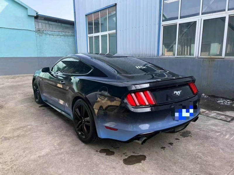 枣庄16年福特野马7