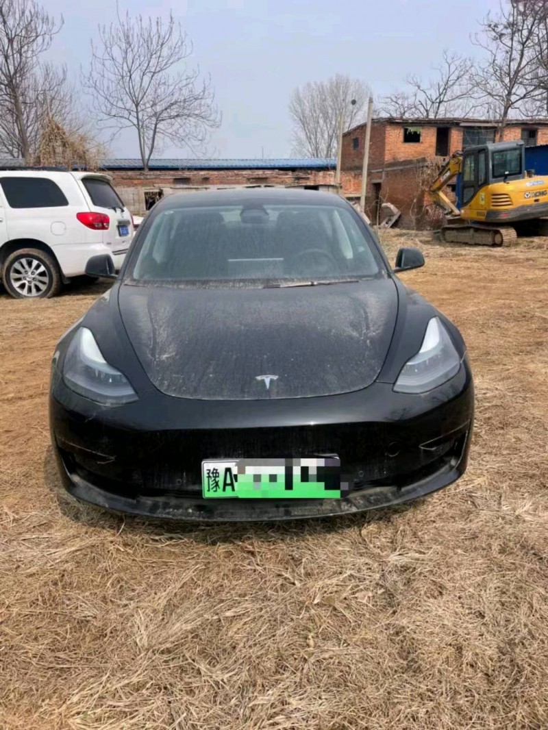 平頂山22年特斯拉MODEL 31