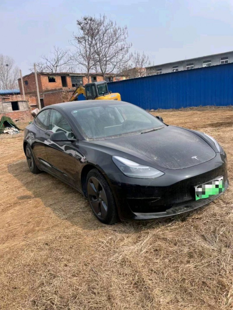 平頂山22年特斯拉MODEL 32