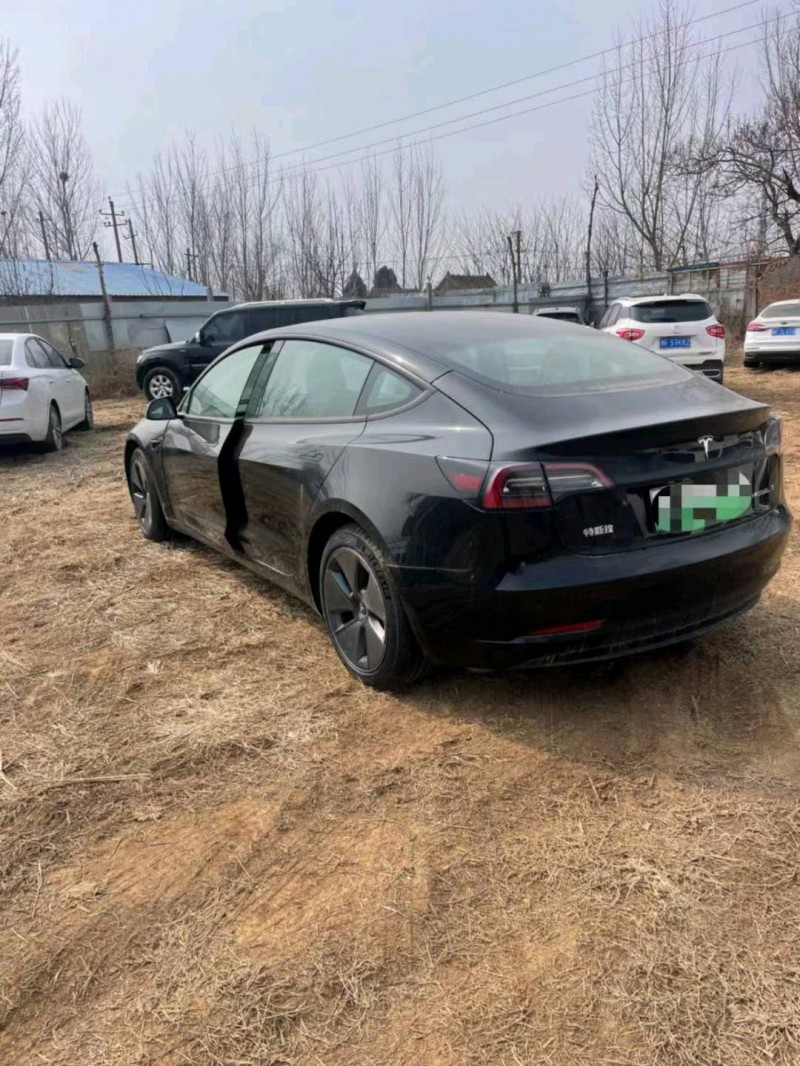平頂山22年特斯拉MODEL 33