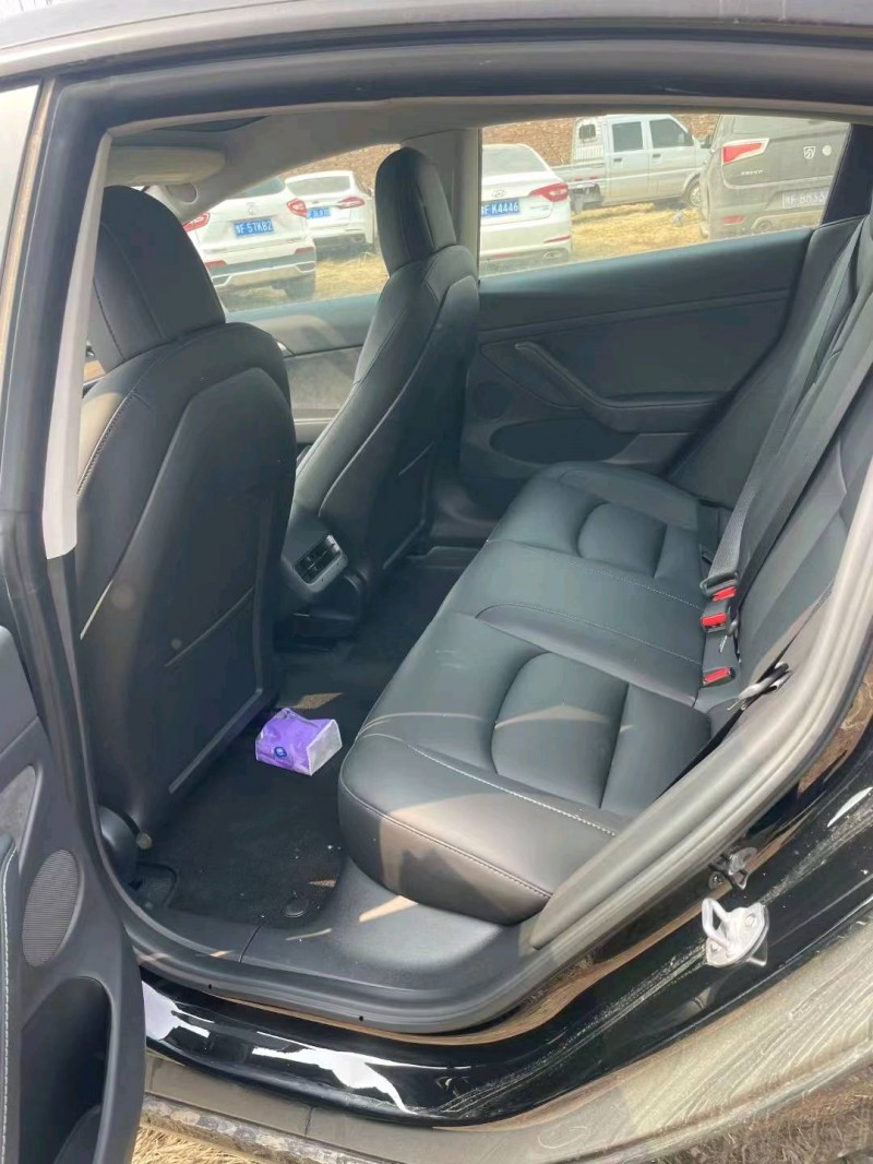 平頂山22年特斯拉MODEL 34